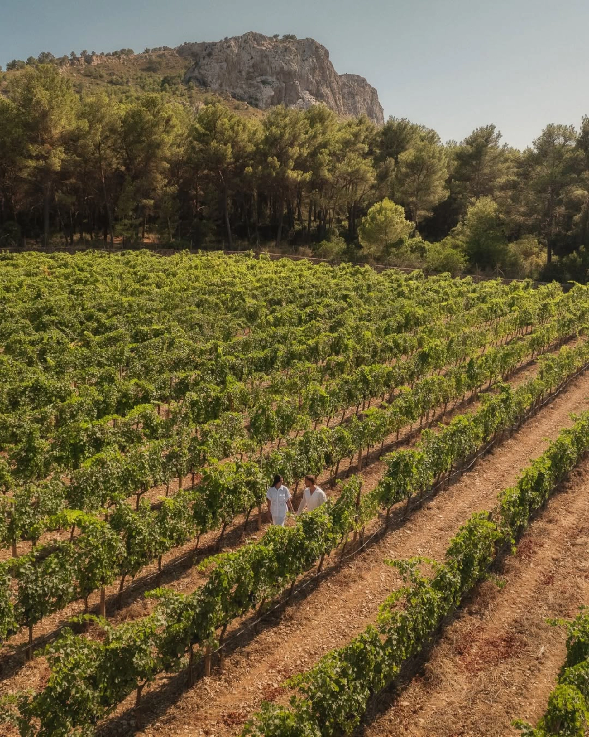 four seasons mallorca formentor spain balearic islands
