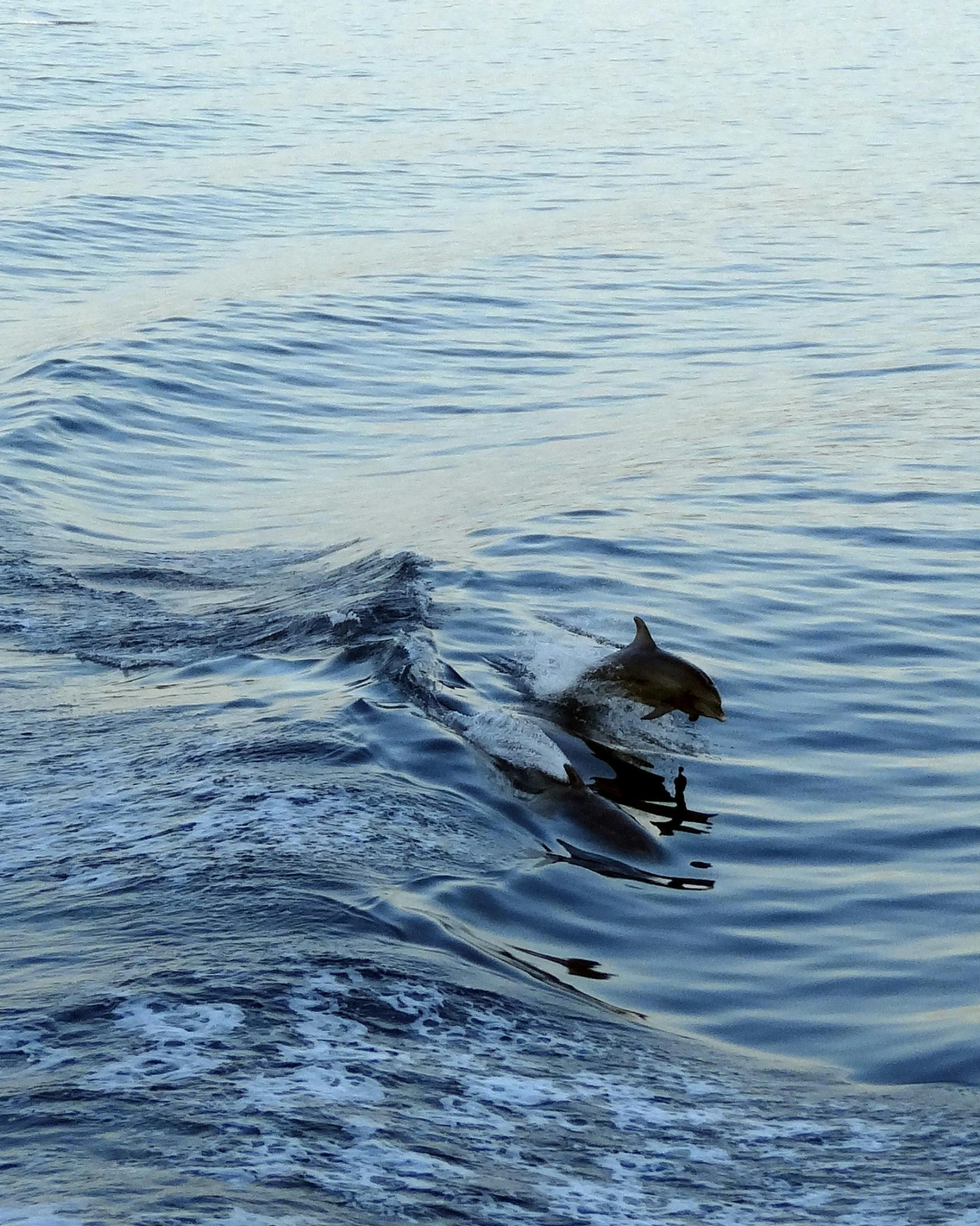 things to do in croatia first time travel guide