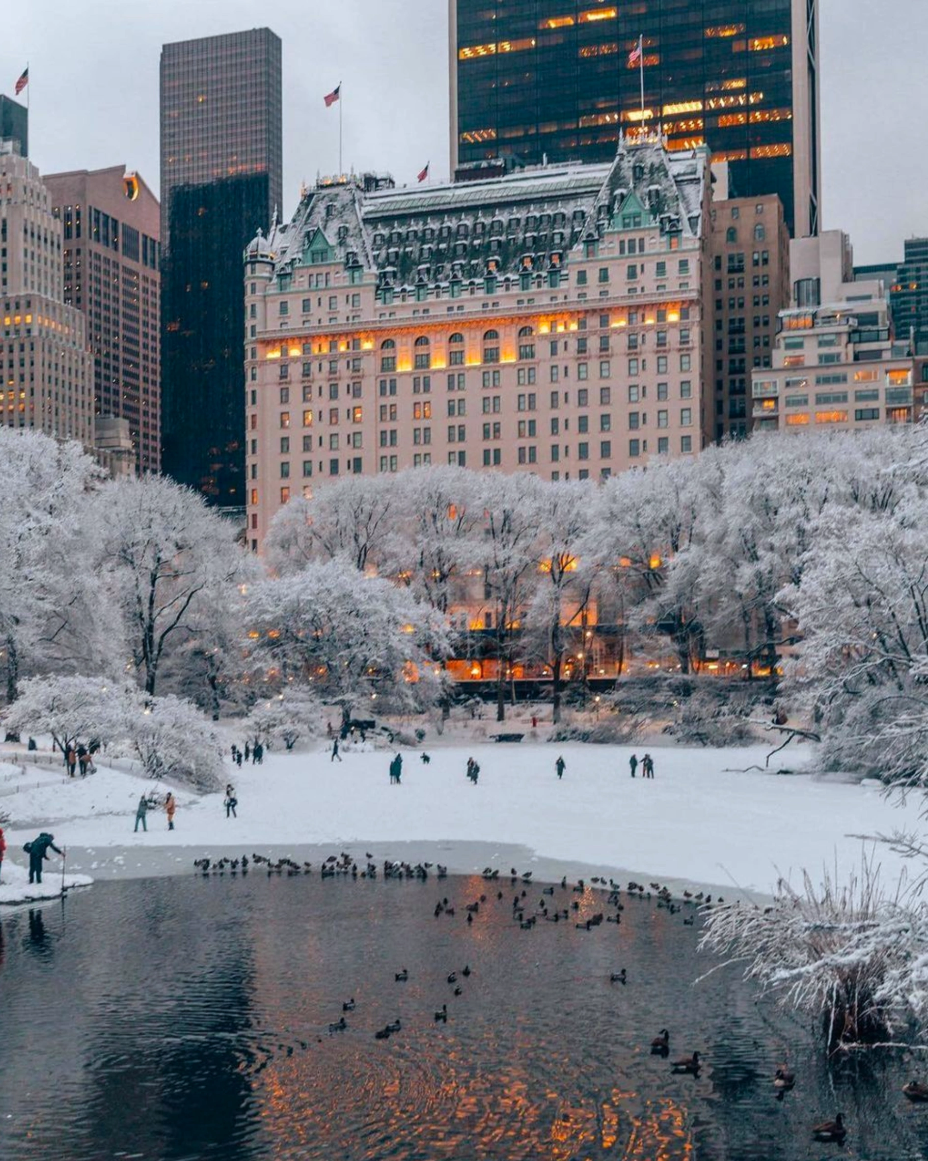 inside look the plaza new york united states of america usa home alone 2 kevin mccallister