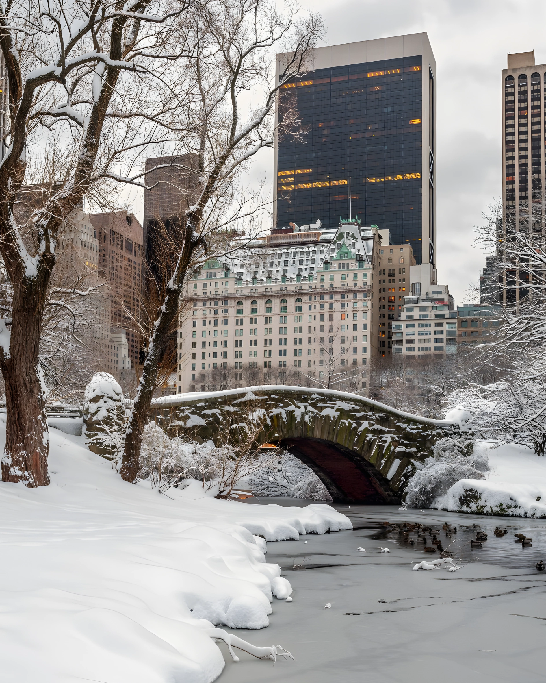 inside look the plaza new york united states of america usa home alone 2 kevin mccallister