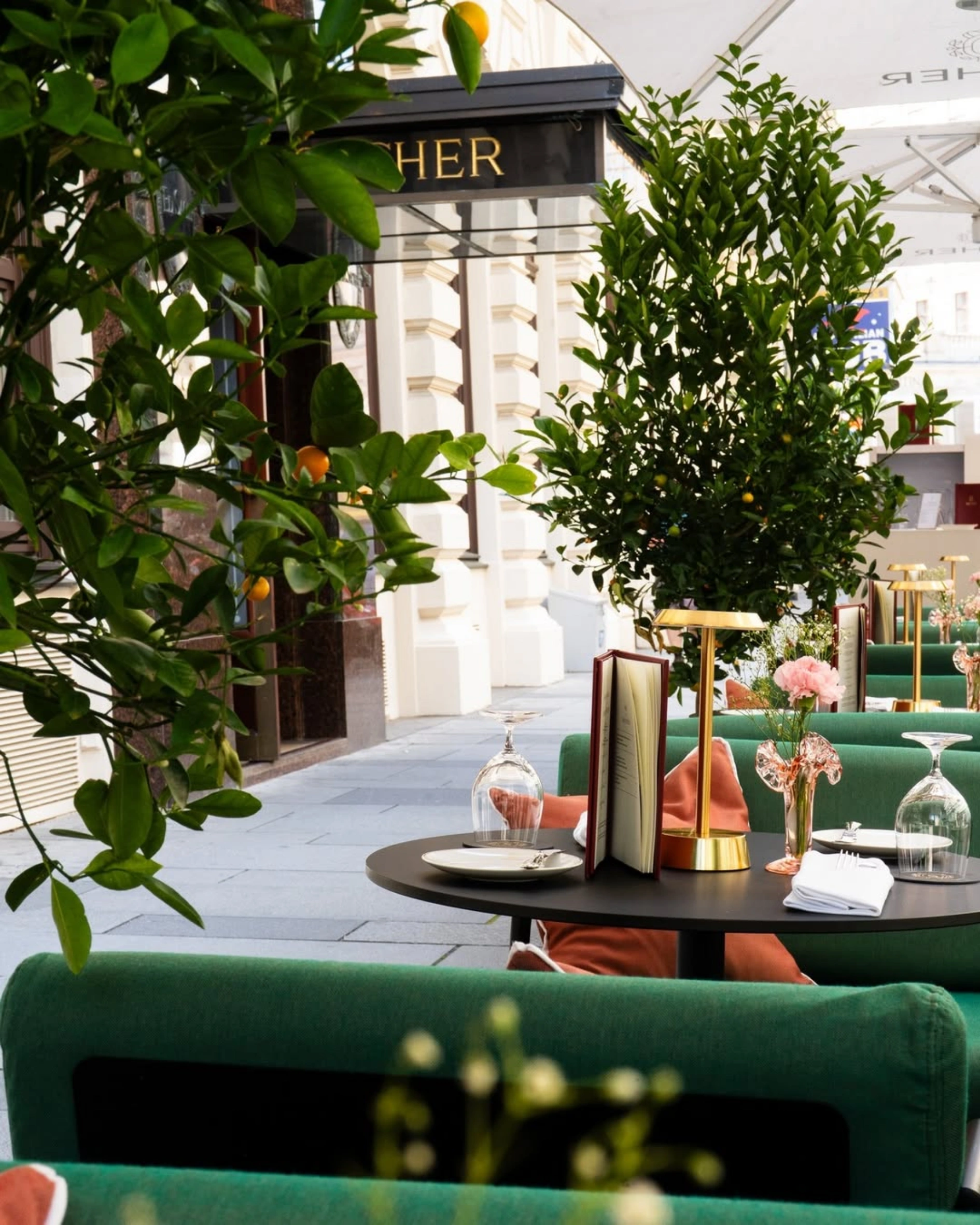 The Best Hotels in Vienna for a Stylish Autumn Stay sacher