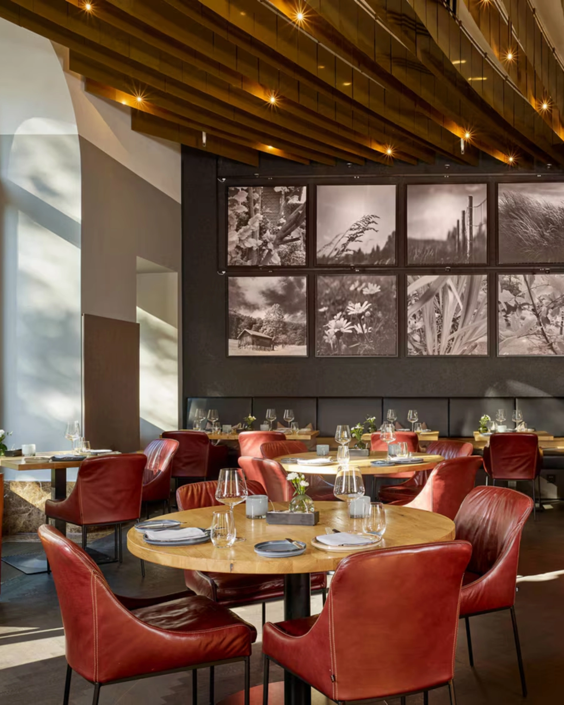 The Best Hotels in Vienna for a Stylish Autumn Stay ritz carlton