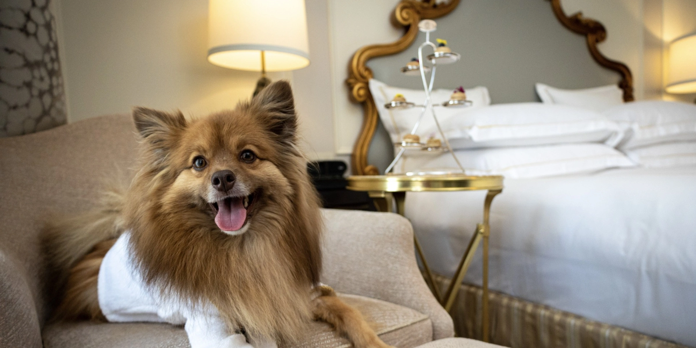 inside look the plaza new york united states of america usa home alone 2 kevin mccallister