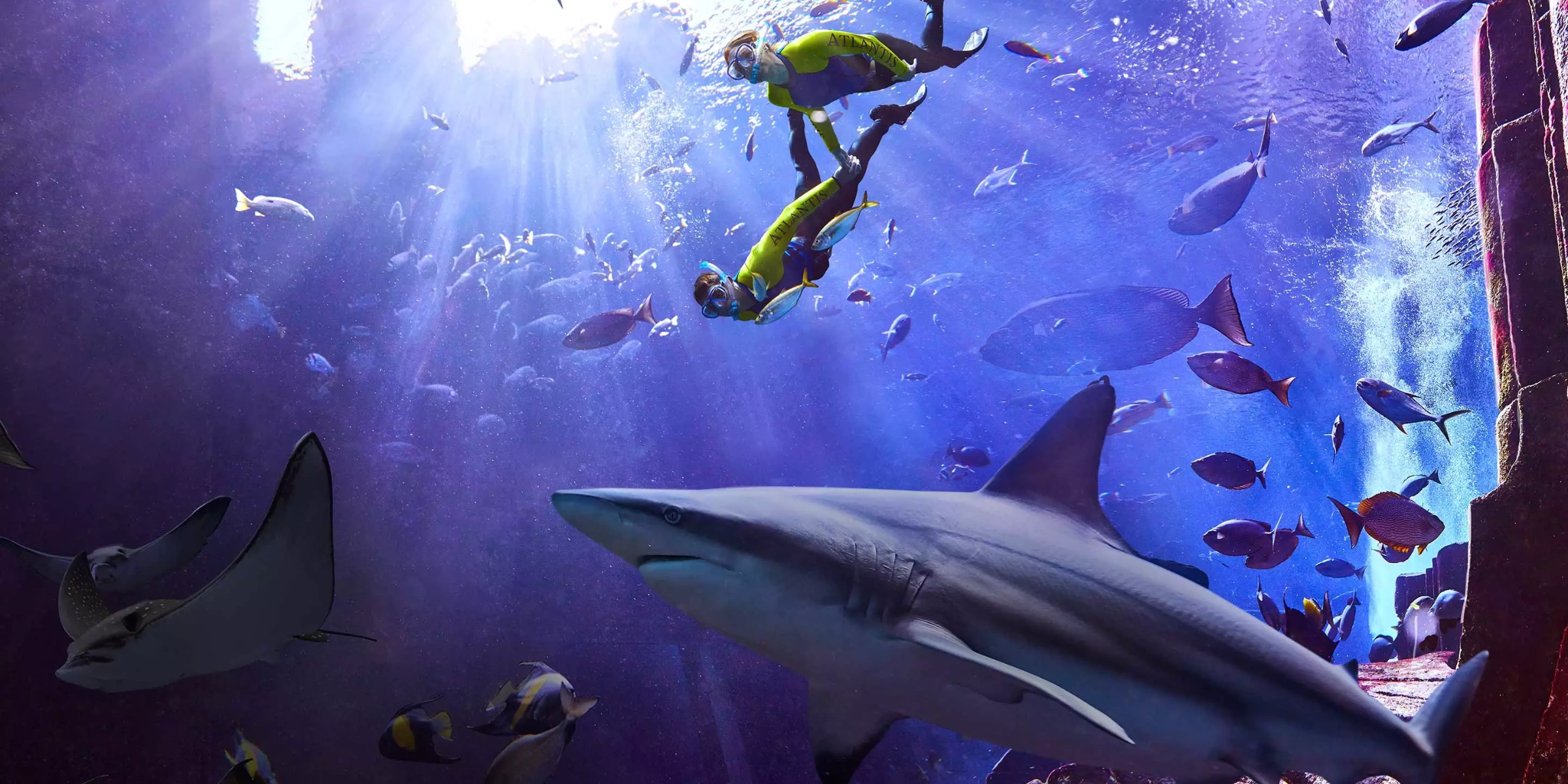 inside look atlantis the royal dubai uae luxury hotel