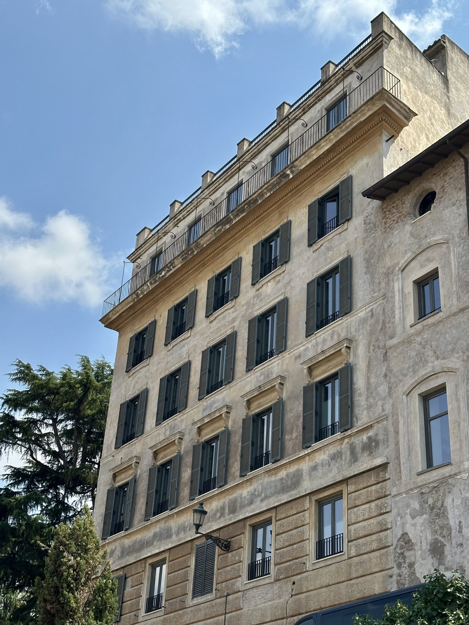 Rhinoceros Roma