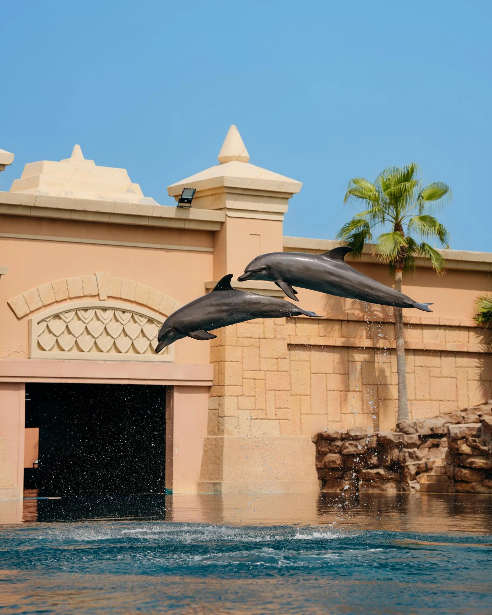 what to do in dubai this june atlantis royal aquaventure world