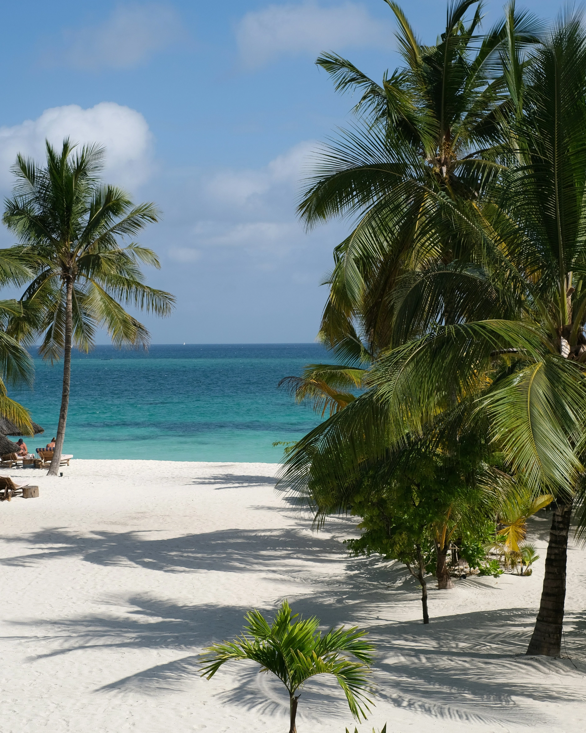 zanzibar tanzania july travel destinations