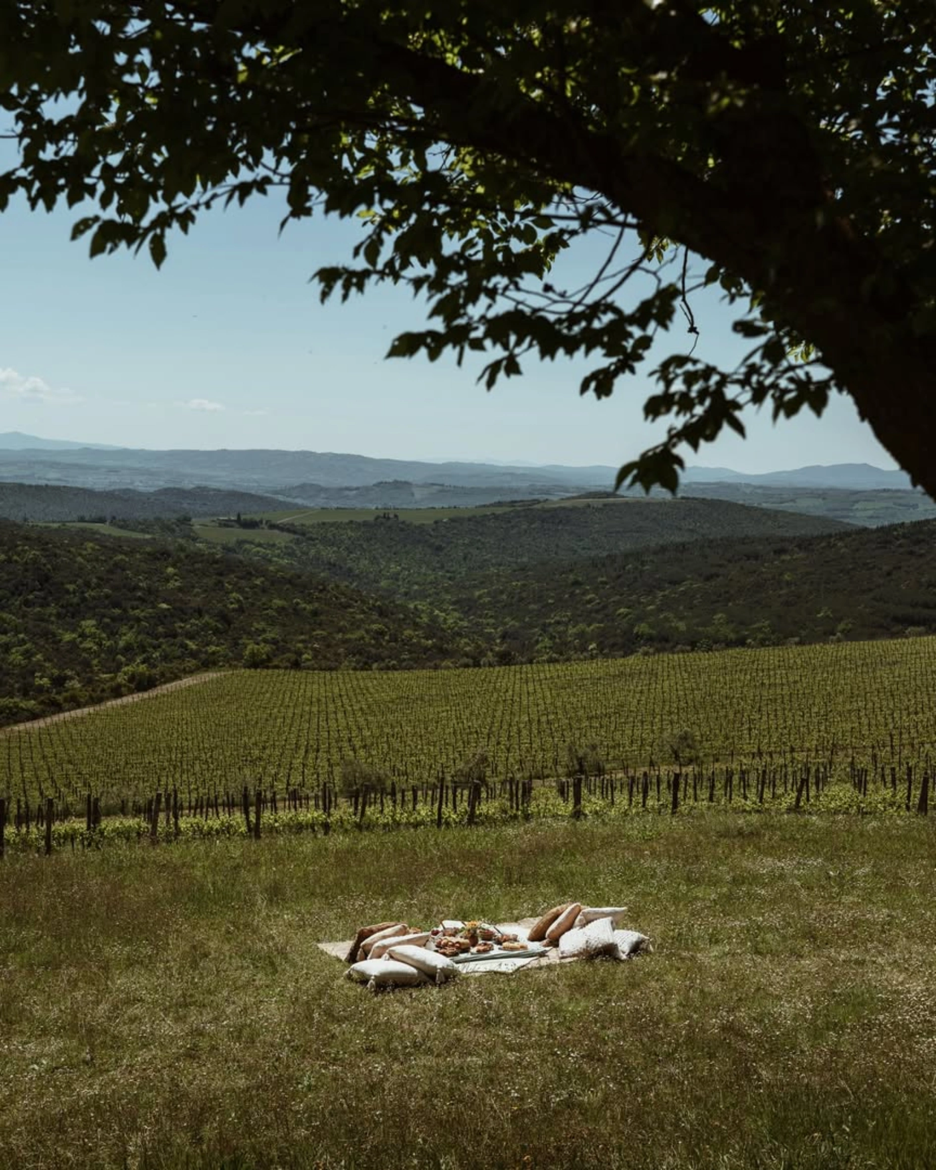 The best Vineyard Hotels to visit this autumn