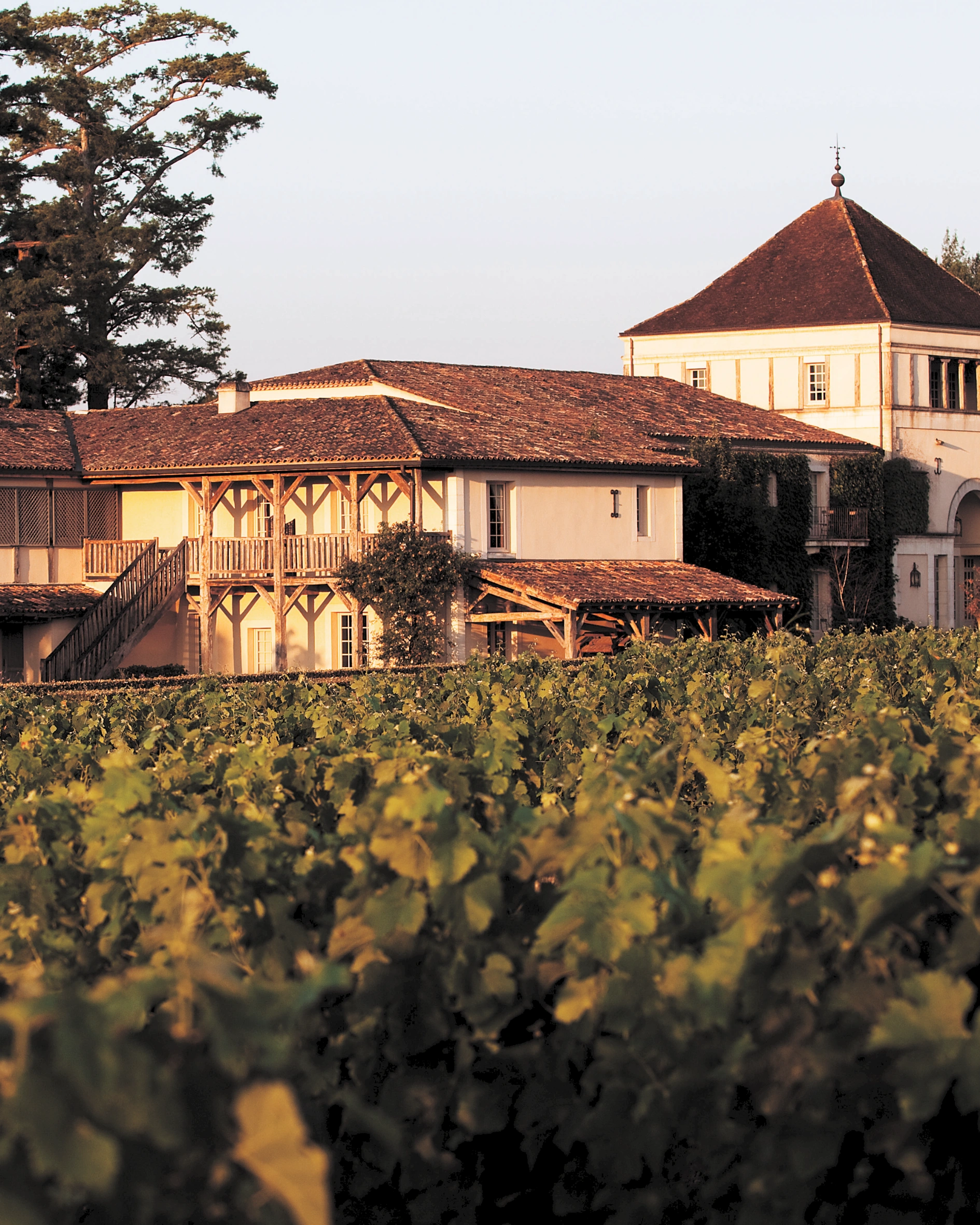 The best Vineyard Hotels to visit this autumn