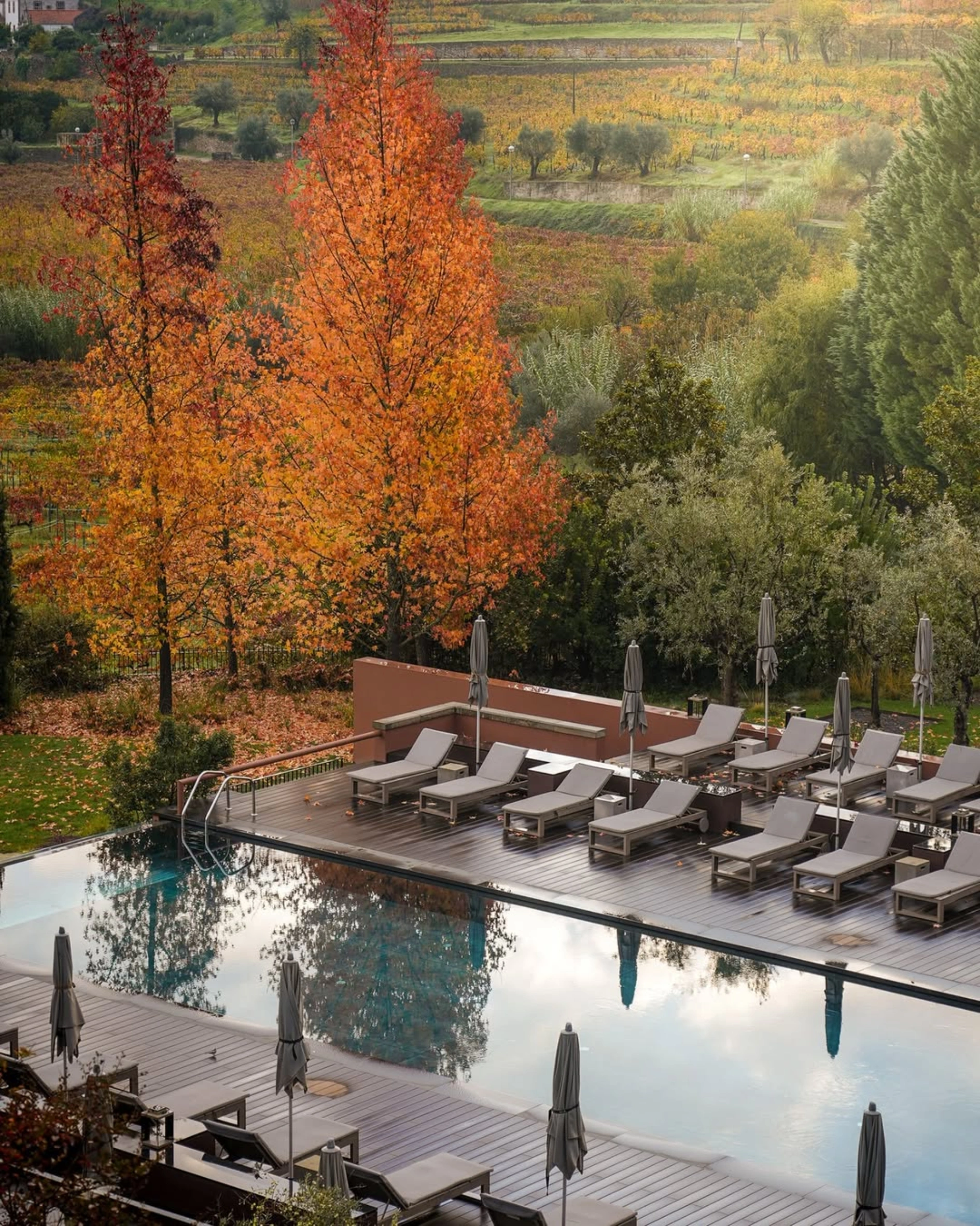 The best Vineyard Hotels to visit this autumn