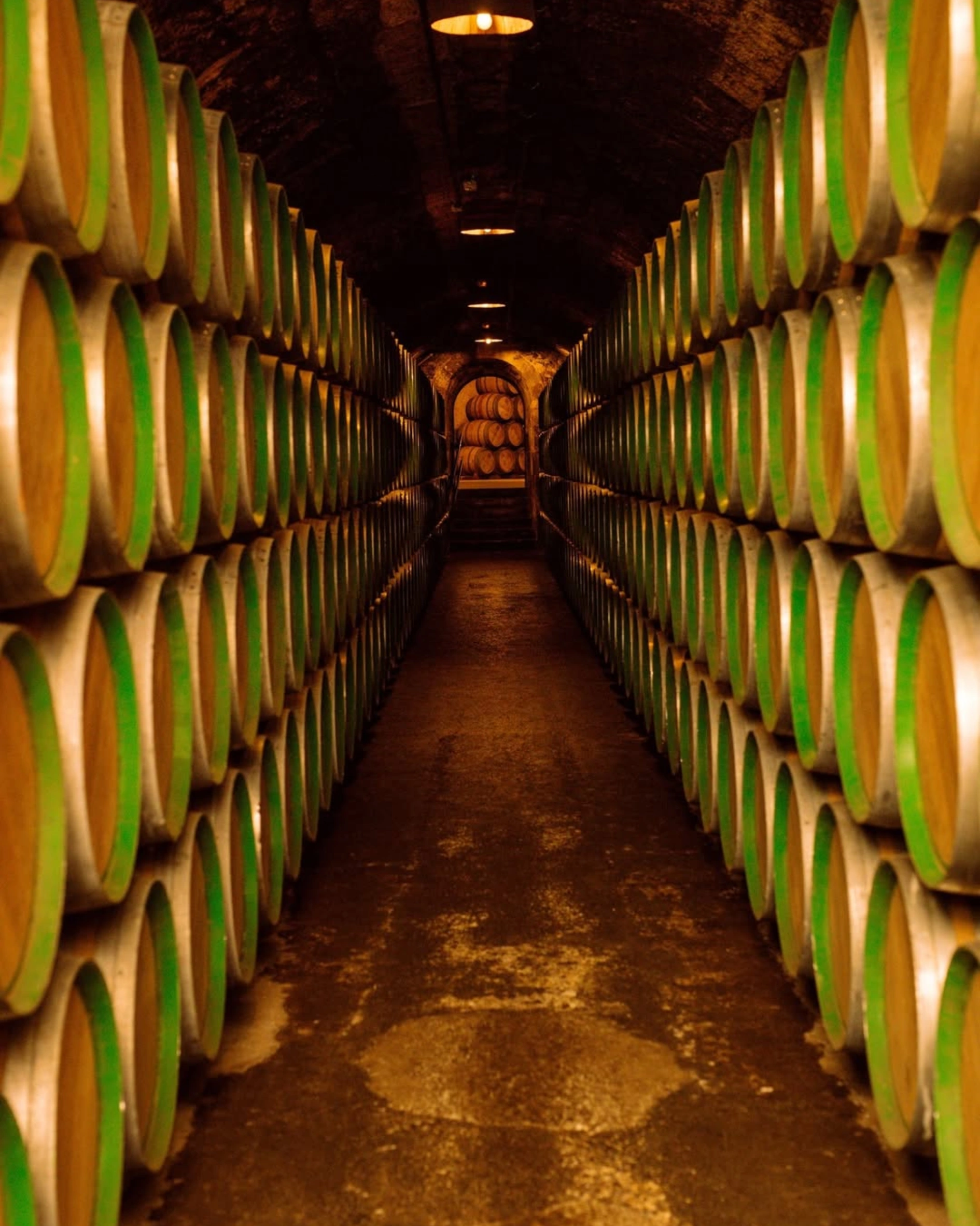 The best Vineyard Hotels to visit this autumn
