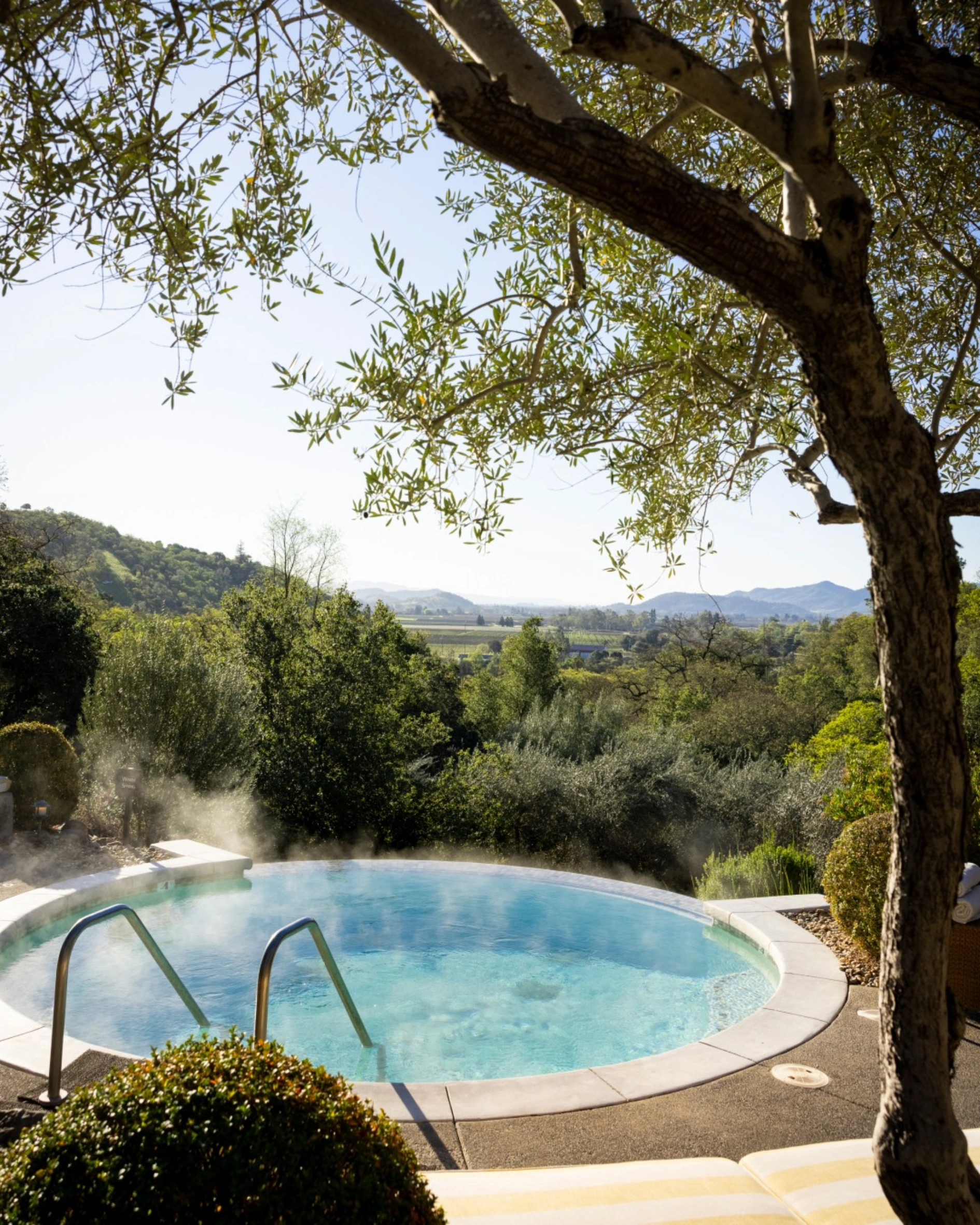 The best Vineyard Hotels to visit this autumn
