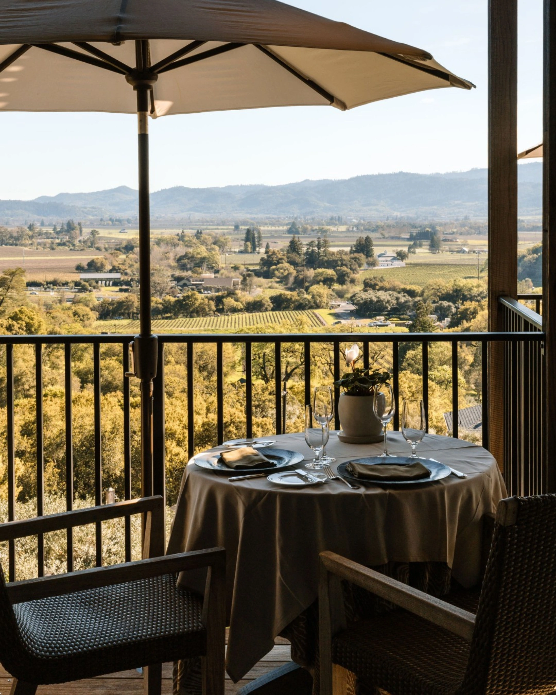 The best Vineyard Hotels to visit this autumn