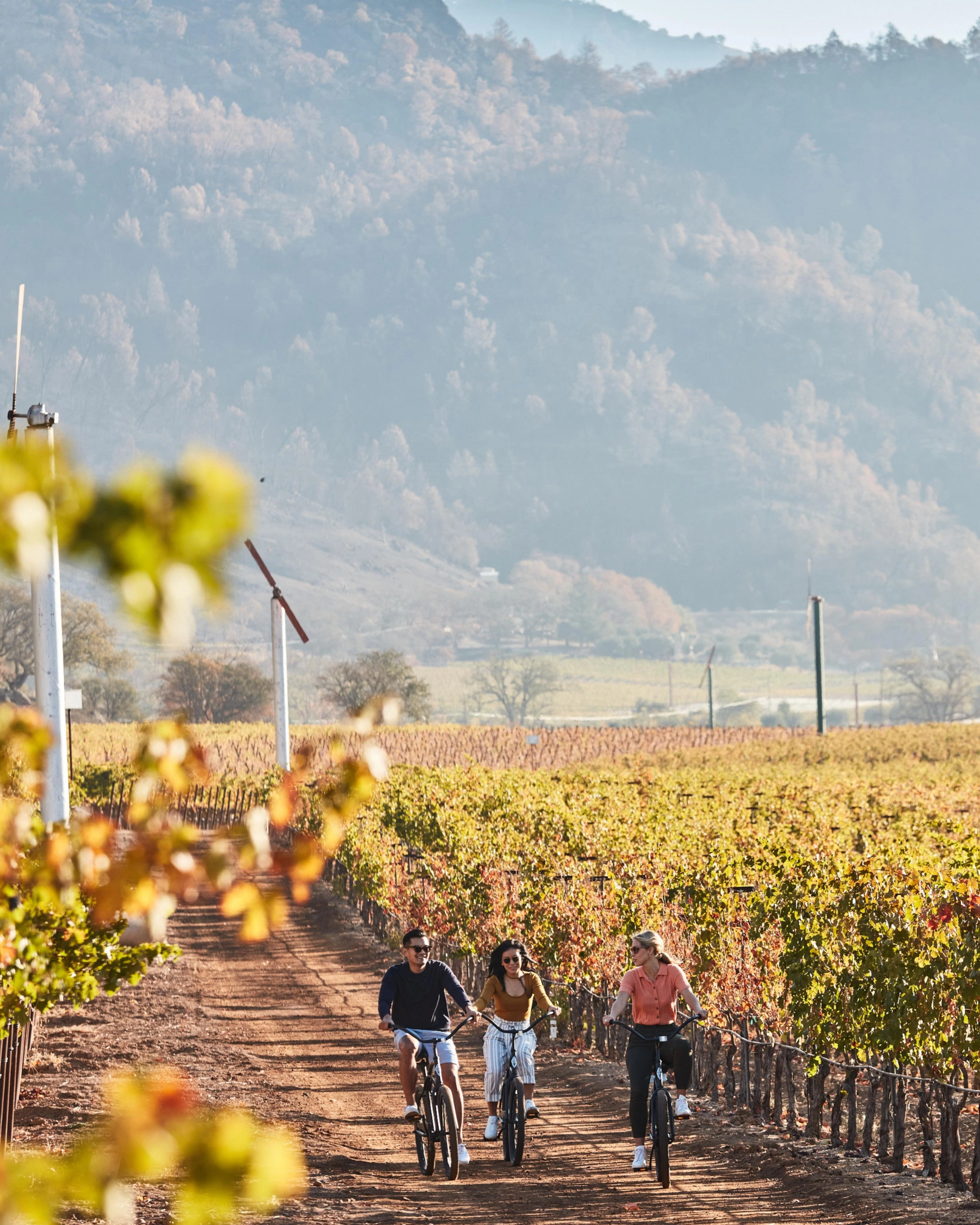 The best Vineyard Hotels to visit this autumn
