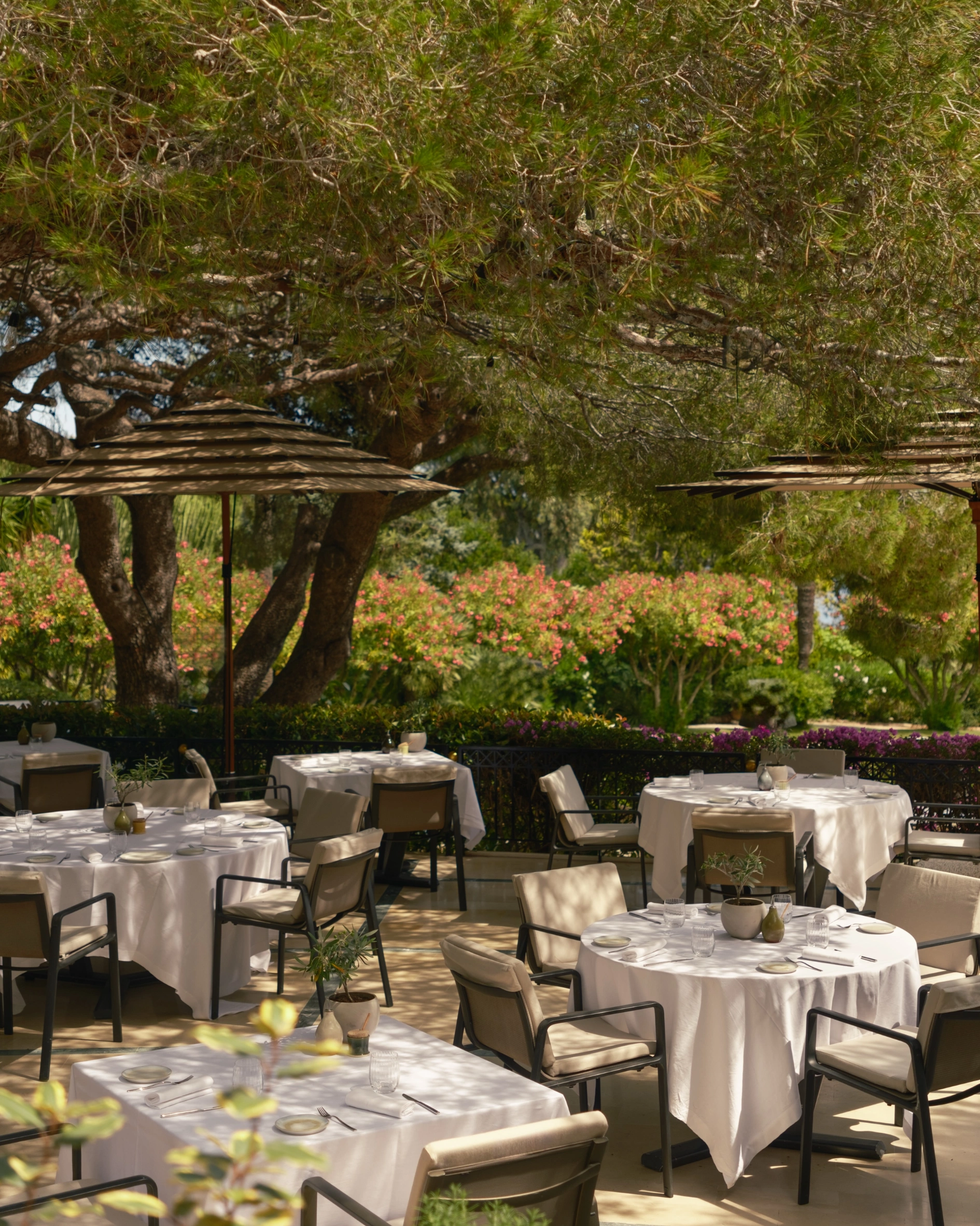 inside look four seasons grand hotel du cap ferrat france cote d'azur