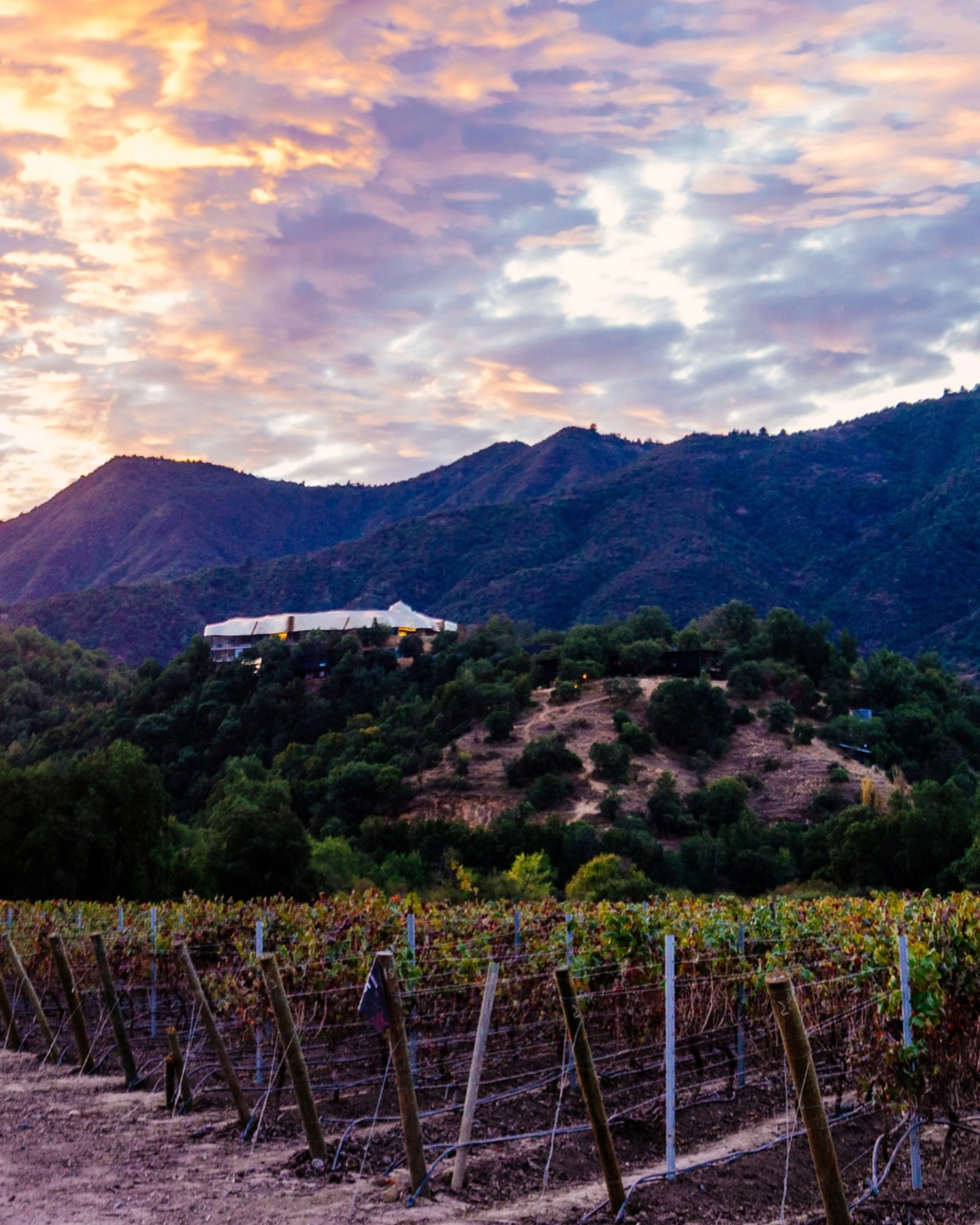The best Vineyard Hotels to visit this autumn