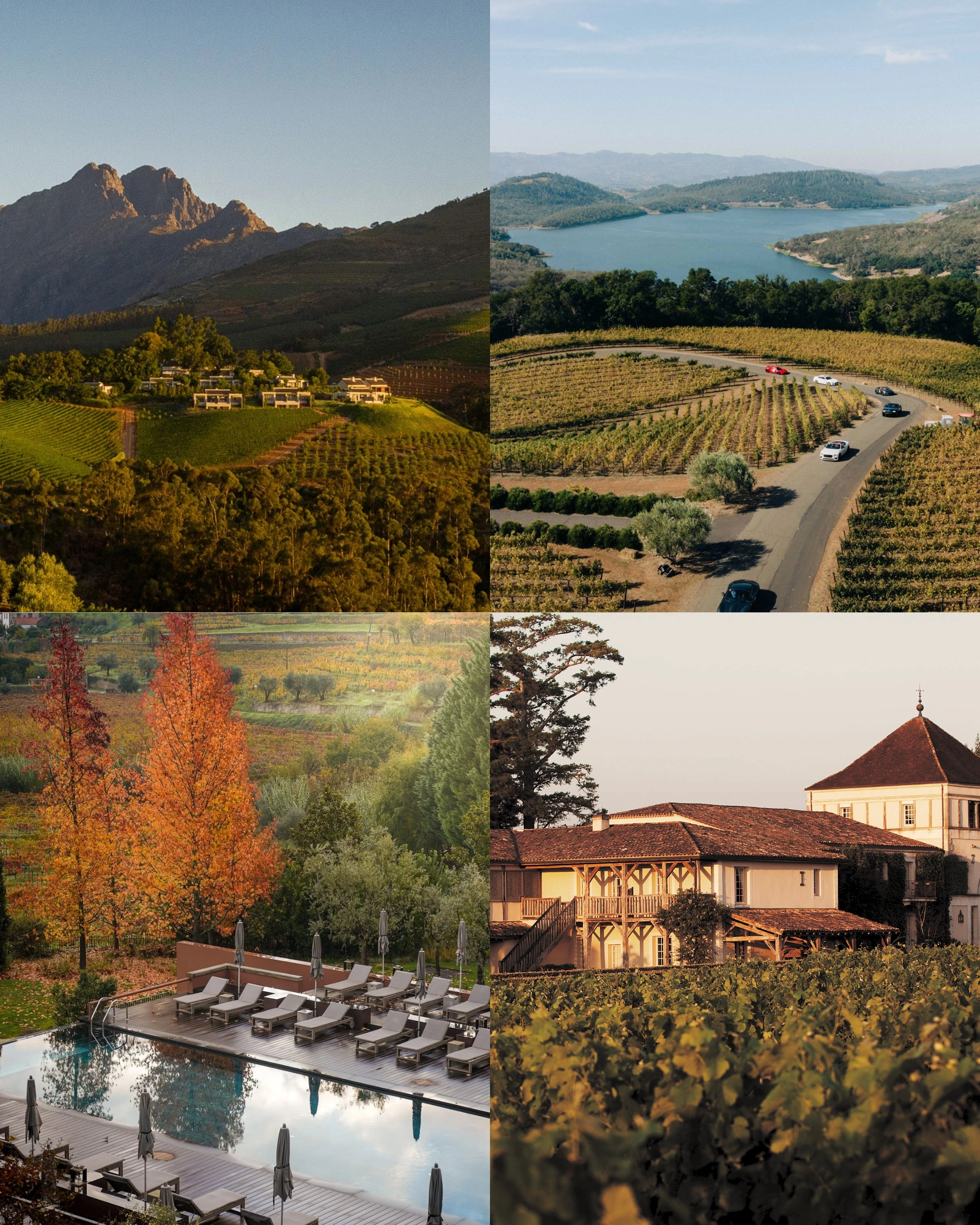 The best Vineyard Hotels to visit this autumn