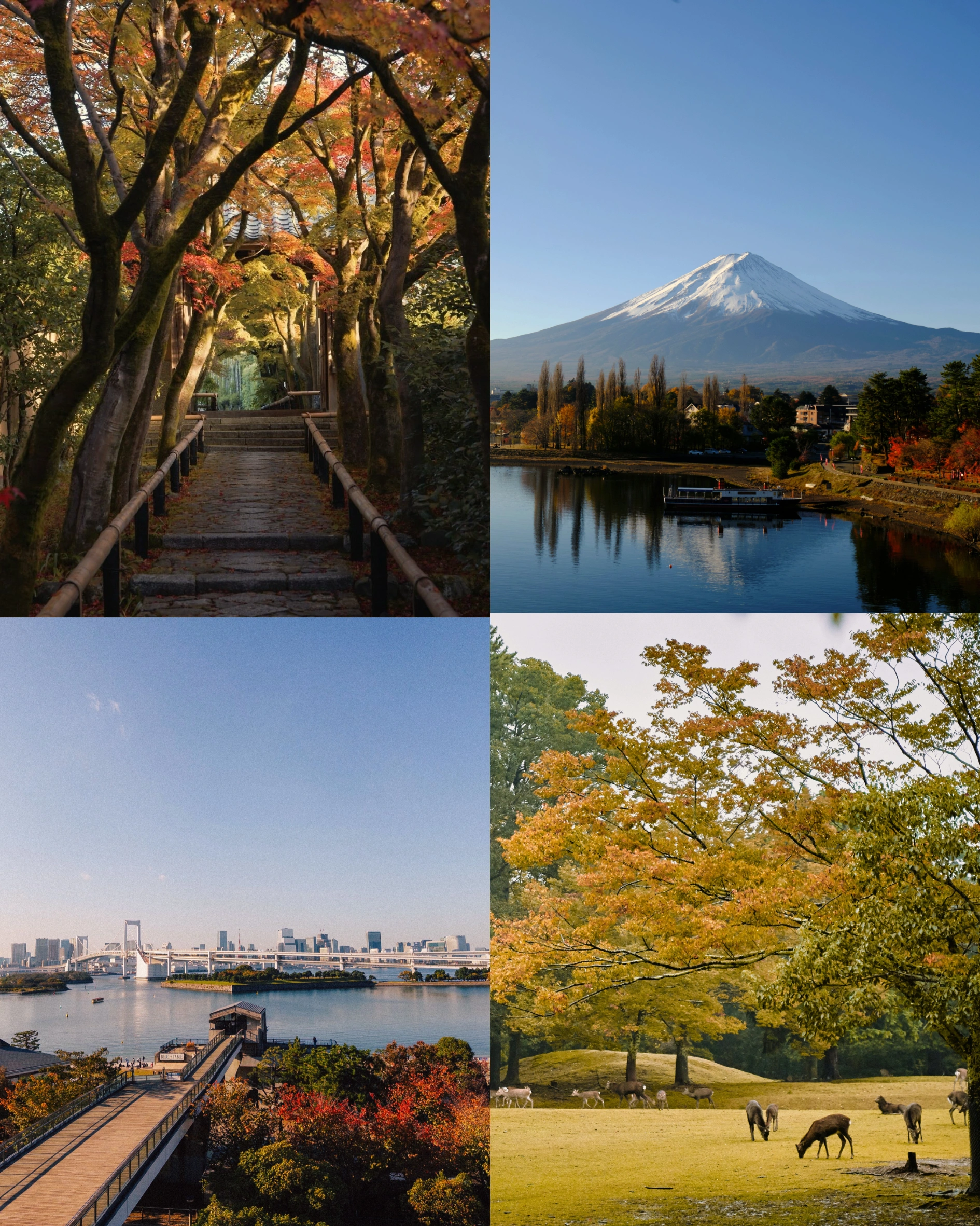 Japan Autumn Travel Guide