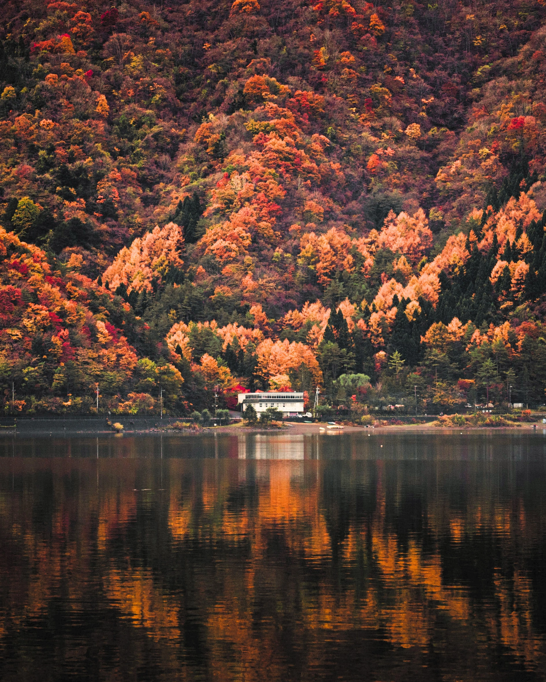 Japan Autumn Travel Guide