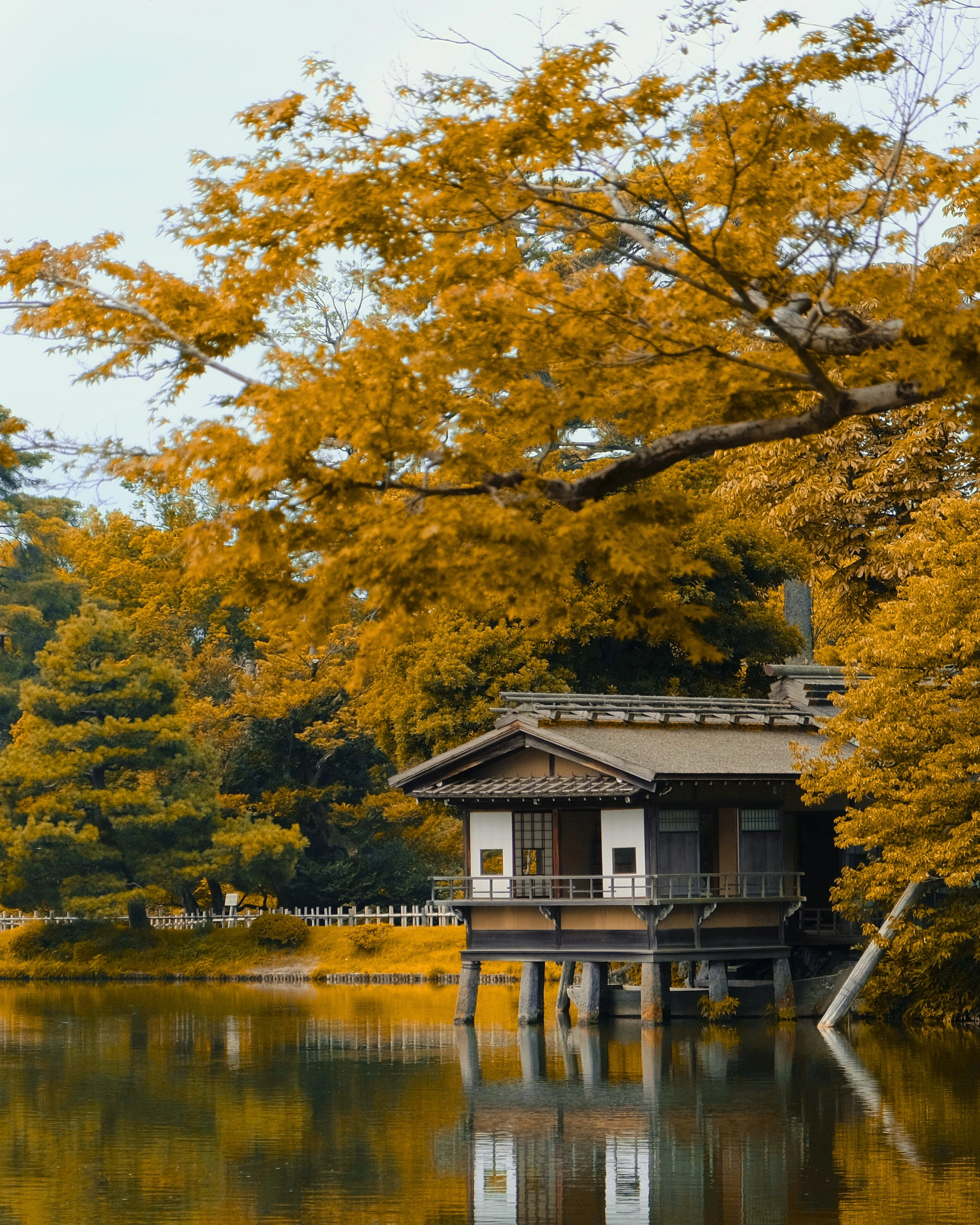 Japan Autumn Travel Guide