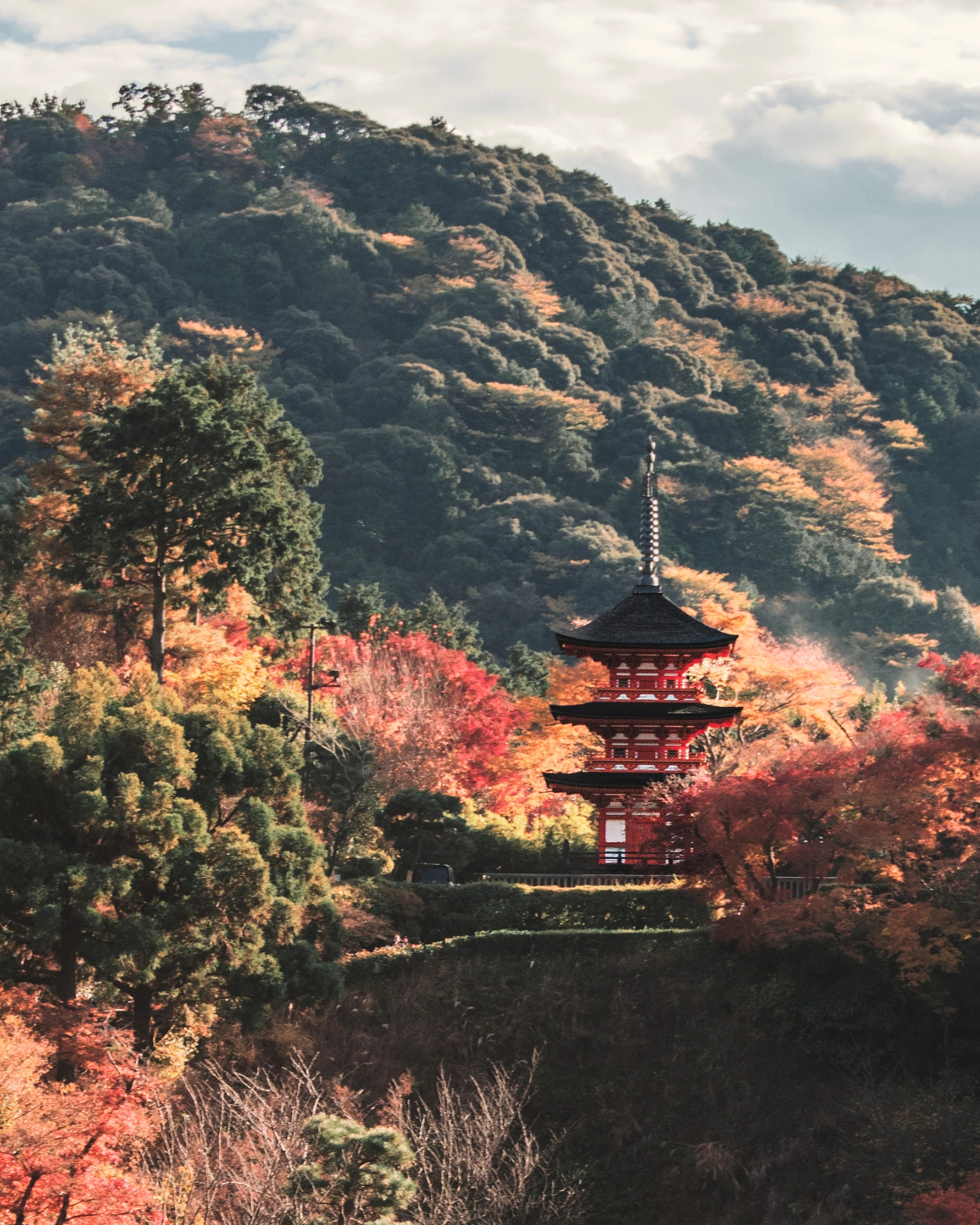 Japan Autumn Travel Guide