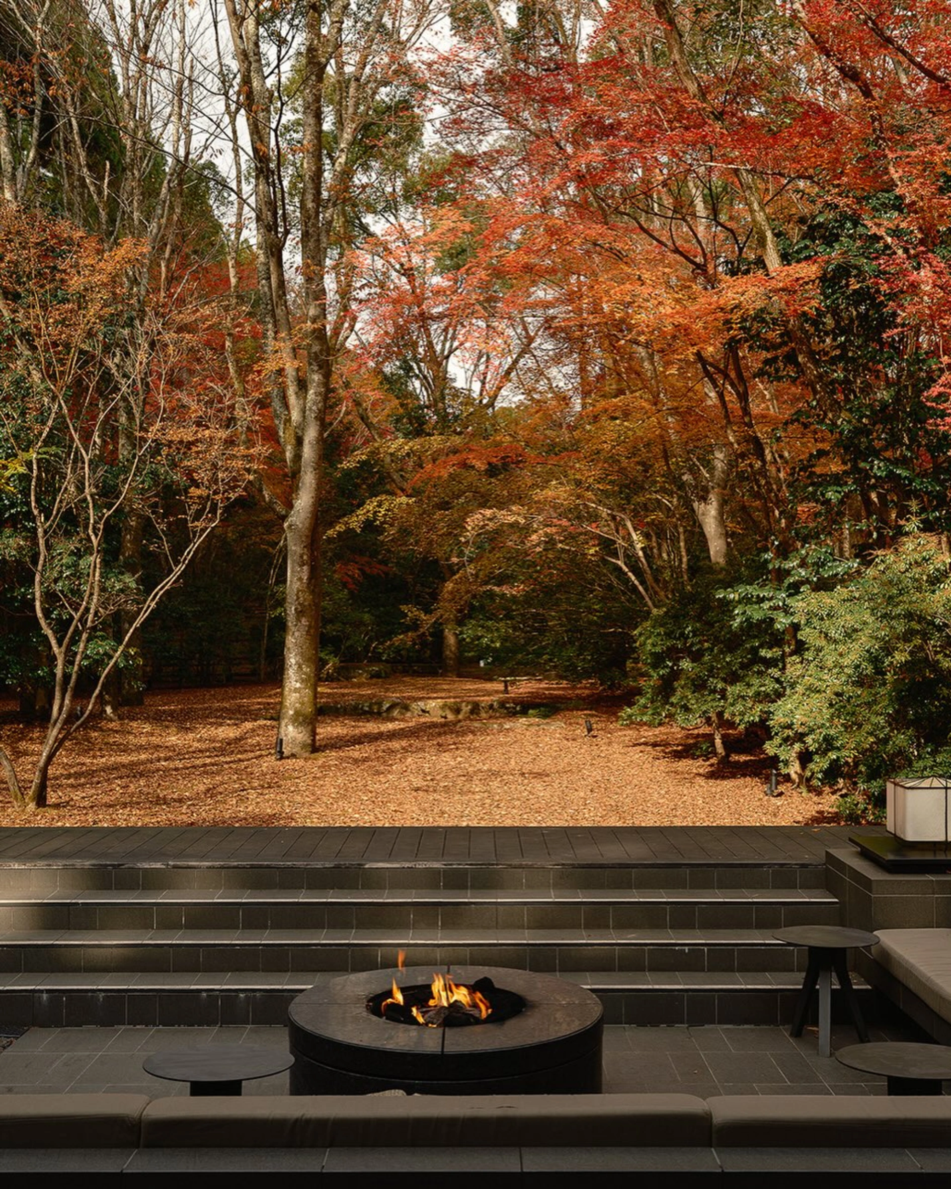Japan Autumn Travel Guide