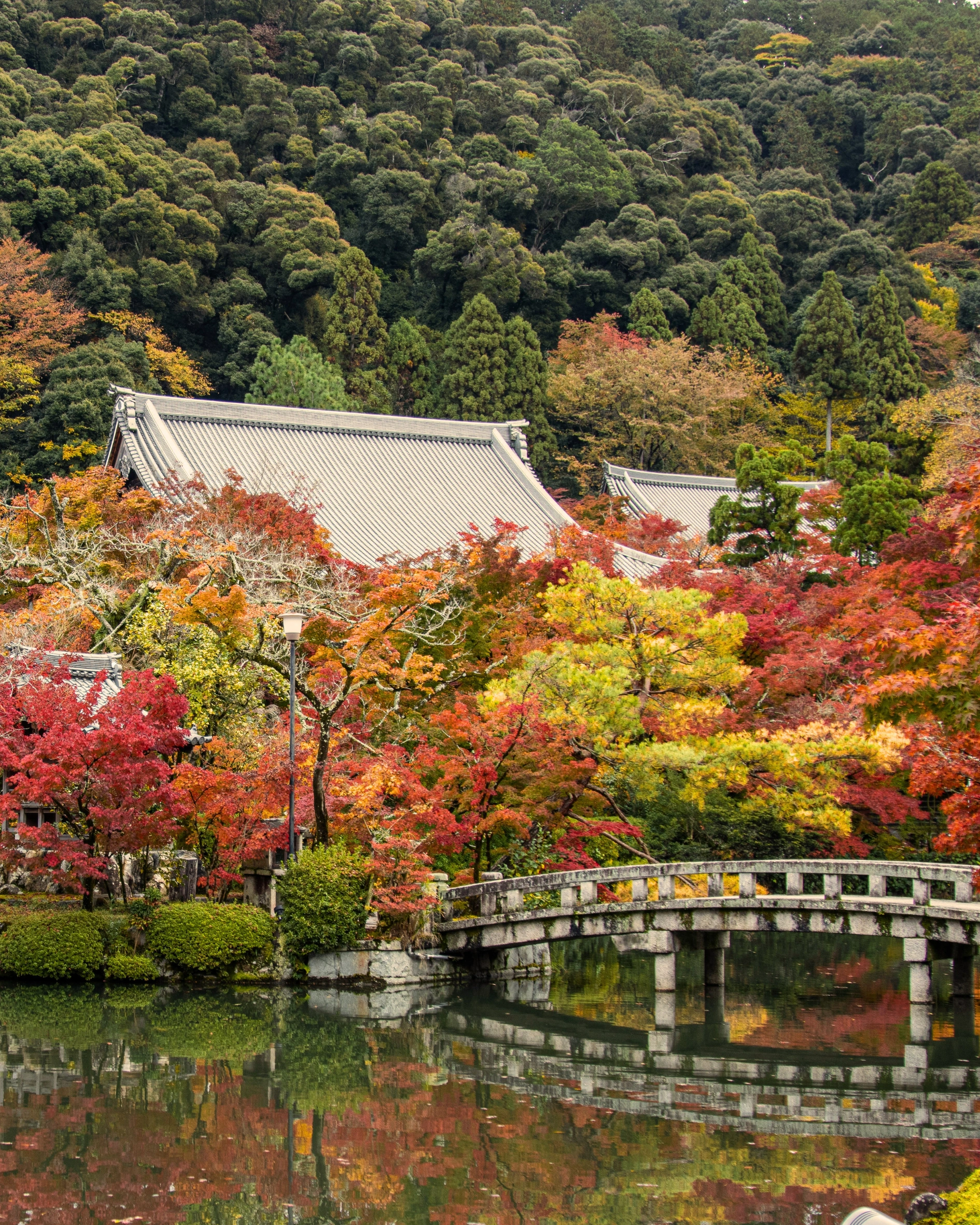 best destinations to visit in november kyoto japan