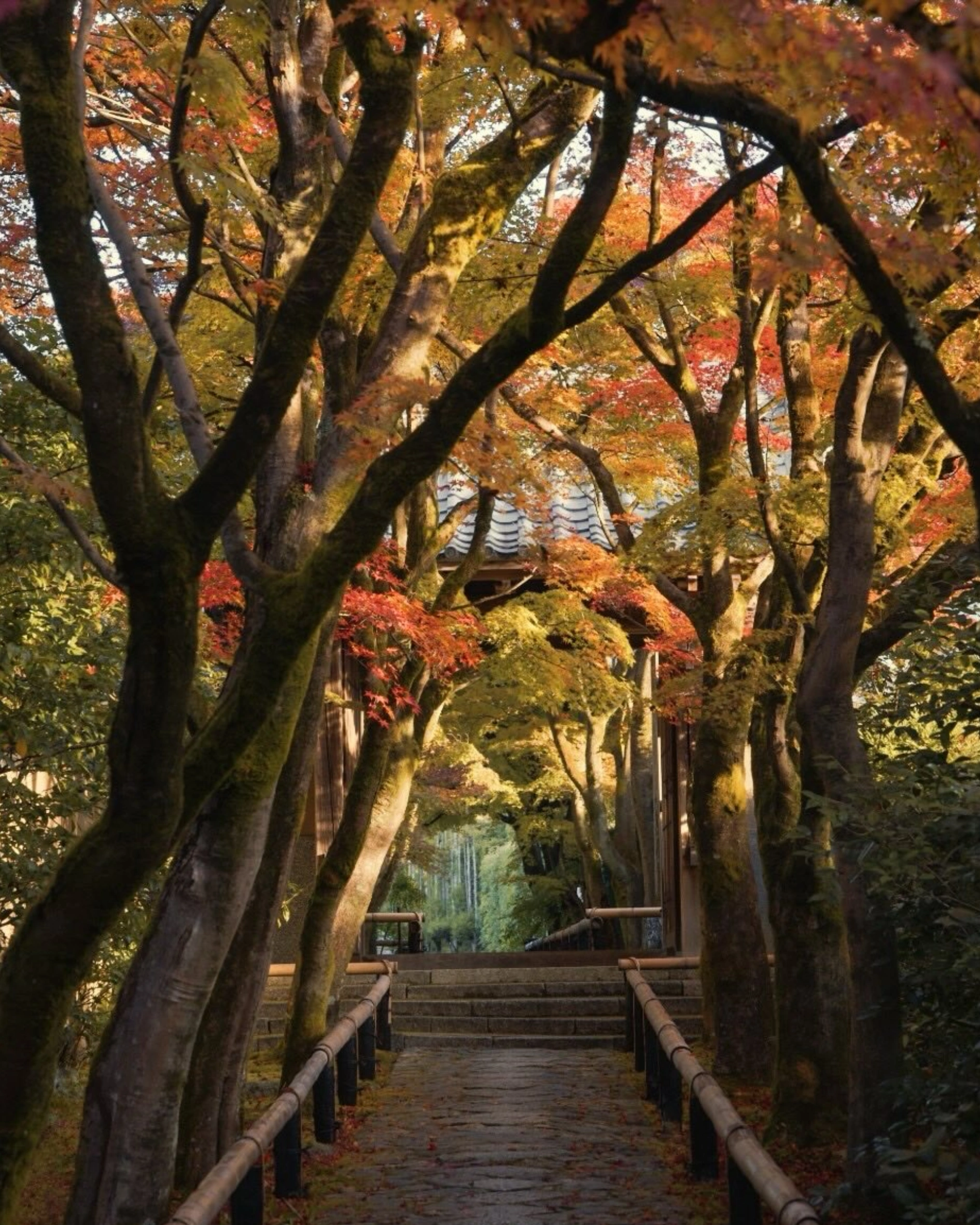 Japan Autumn Travel Guide