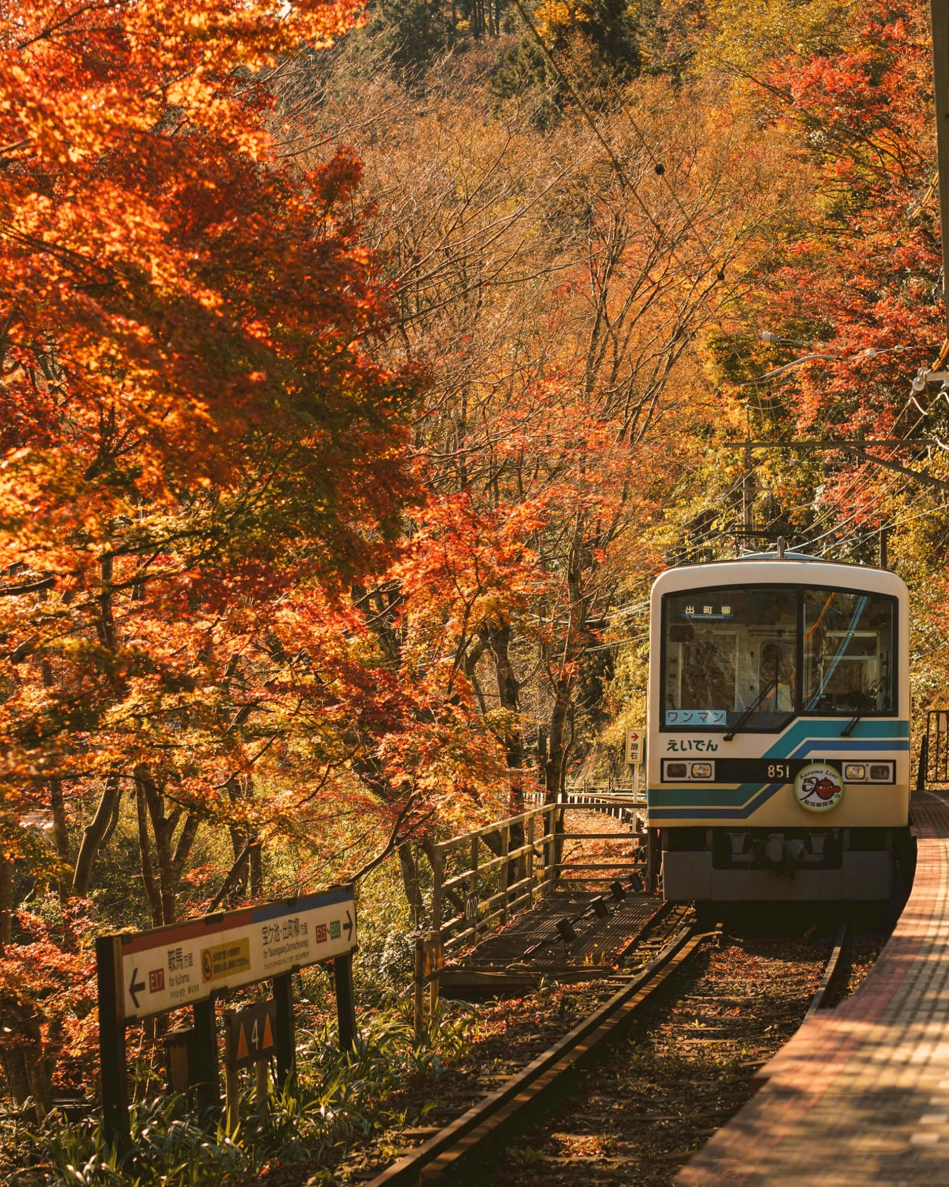 best destinations to visit in november kyoto japan