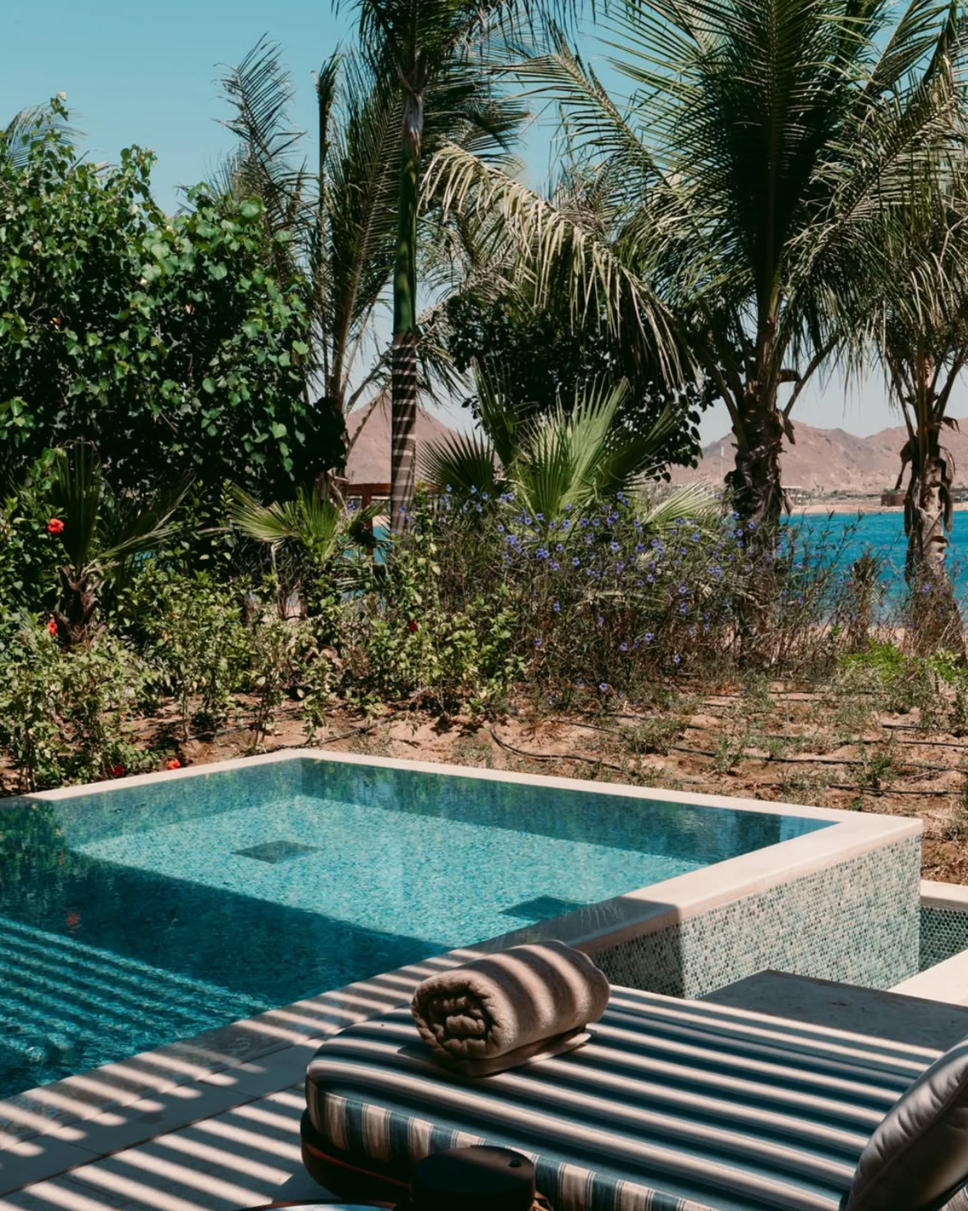 what to do in dubai this august