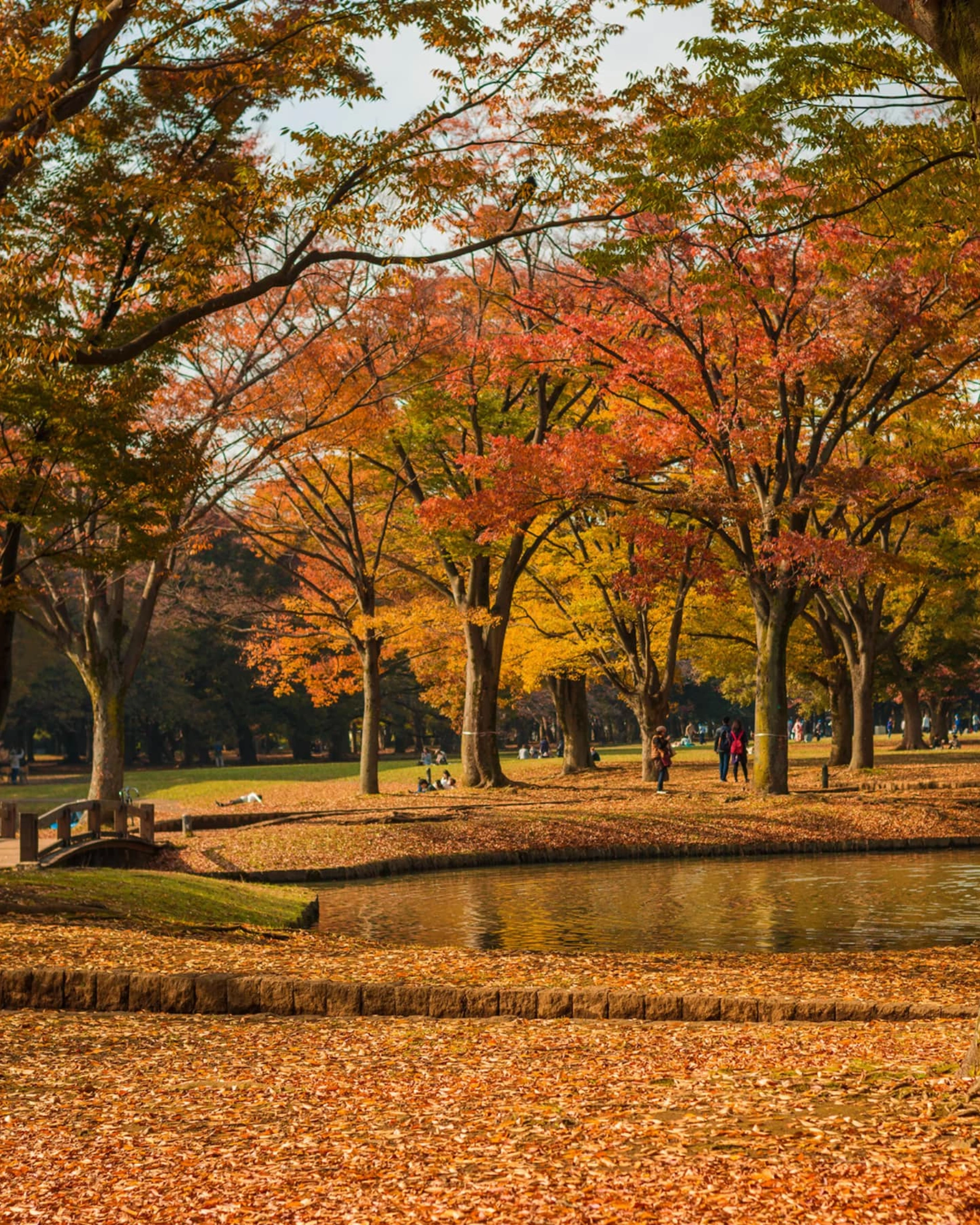 Japan Autumn Travel Guide
